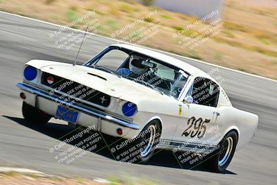 media/May-10-2025-Cobra Club (Sat) [[7b9c5022b1]]/Passenger/